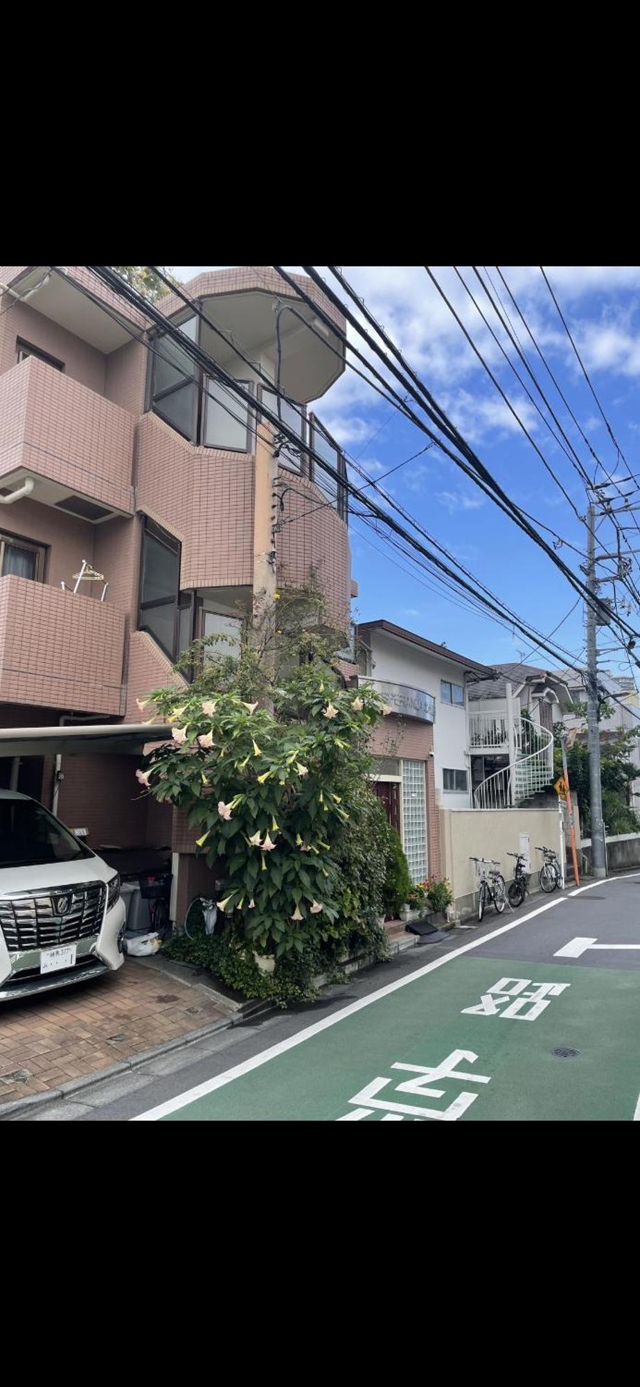 新宿安靜の家-A Quiet Home In Shinjuku - A 26 Square Meter Double Bed Room That Feels Like Home 東京都 エクステリア 写真