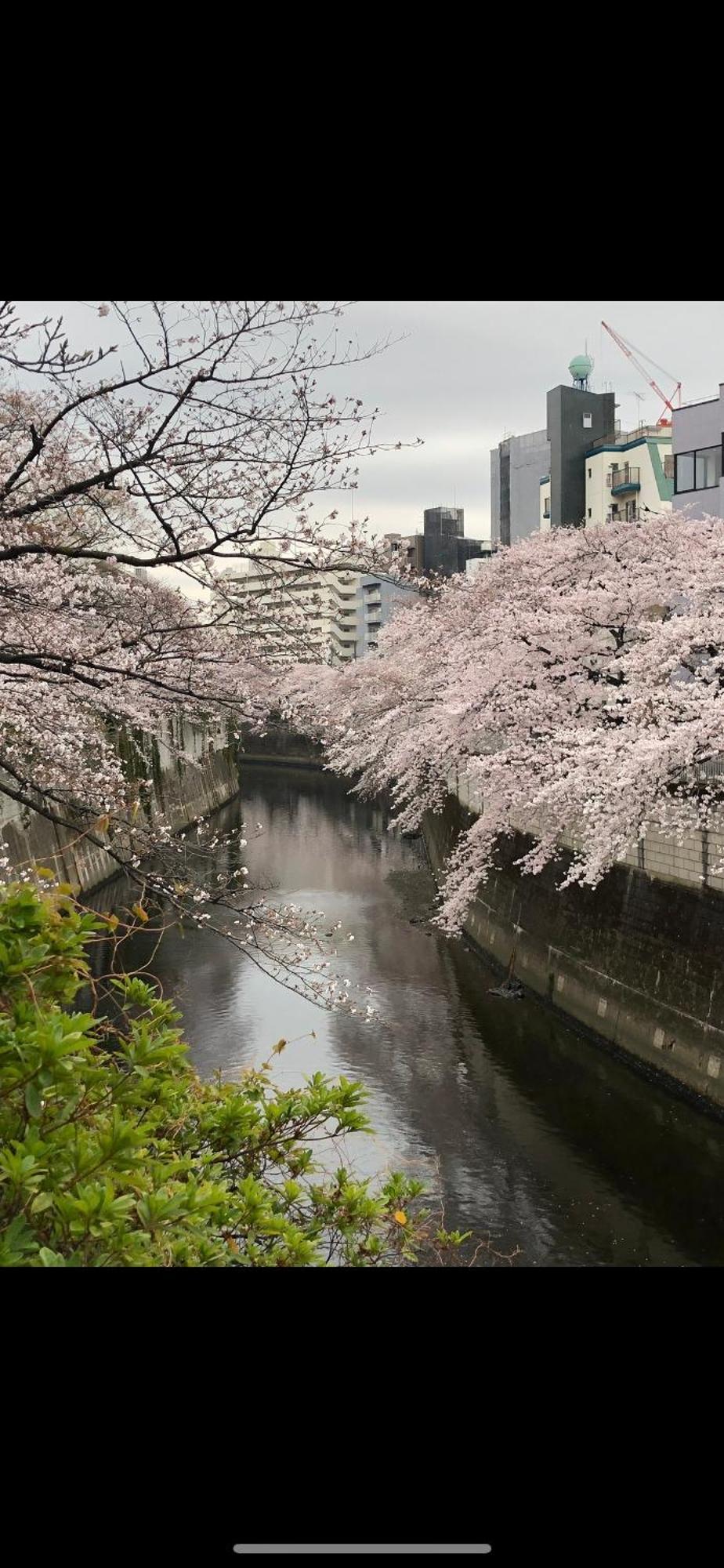 新宿安靜の家-A Quiet Home In Shinjuku - A 26 Square Meter Double Bed Room That Feels Like Home 東京都 エクステリア 写真